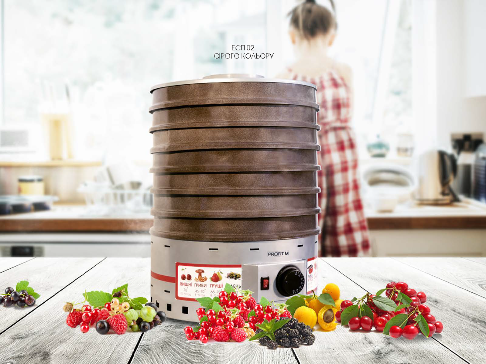 Електросушарка Profit M ЕСП-02 820Вт 20л сіра (електросушарка Profit M)